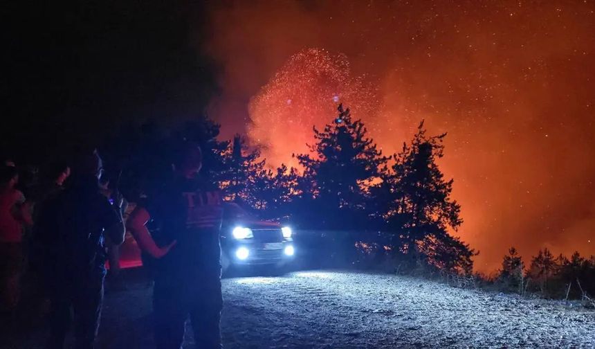 Havai fişekle yangın çıkarmışlardı: Mahkemeden sürpriz ceza!