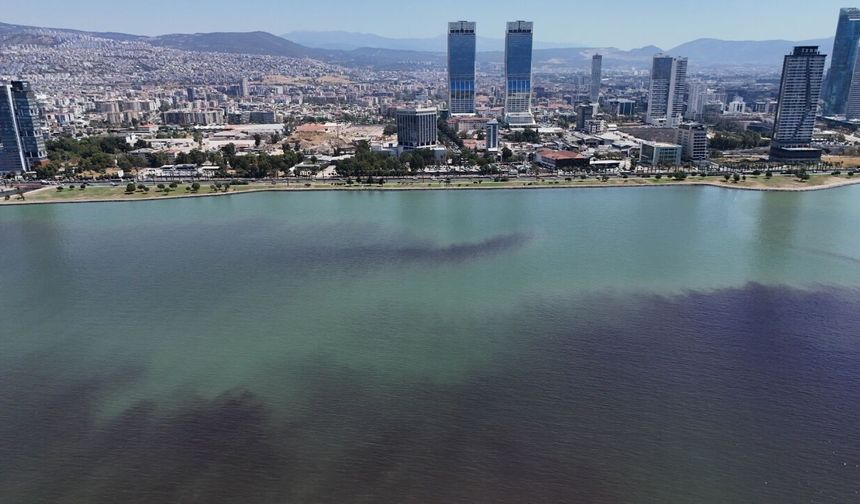 İzmir Körfezi’nin geleceği Foça’da masaya yatırılacak