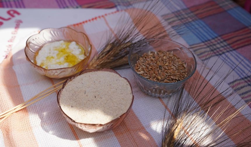 Karakılçık Rotası Seferihisar’dan Türkiye’ye açılıyor