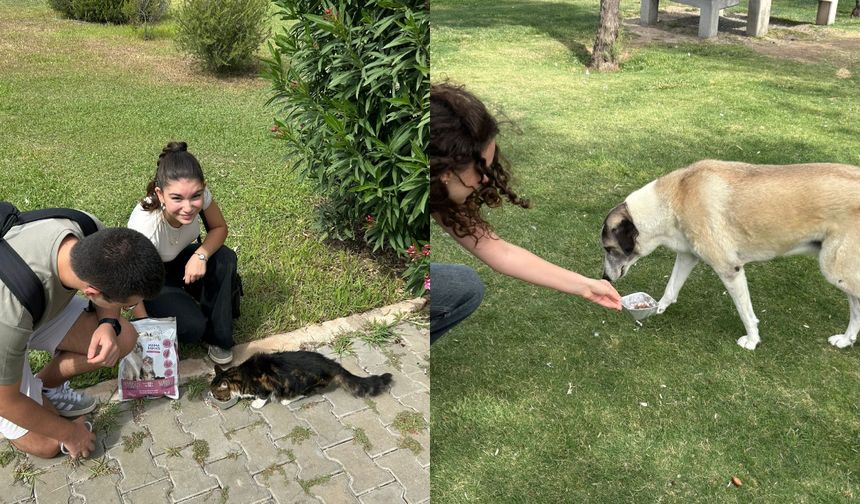 İzmir’den örnek etkinlik: Güzelbahçe gençleri sokak hayvanları için bir araya geldi