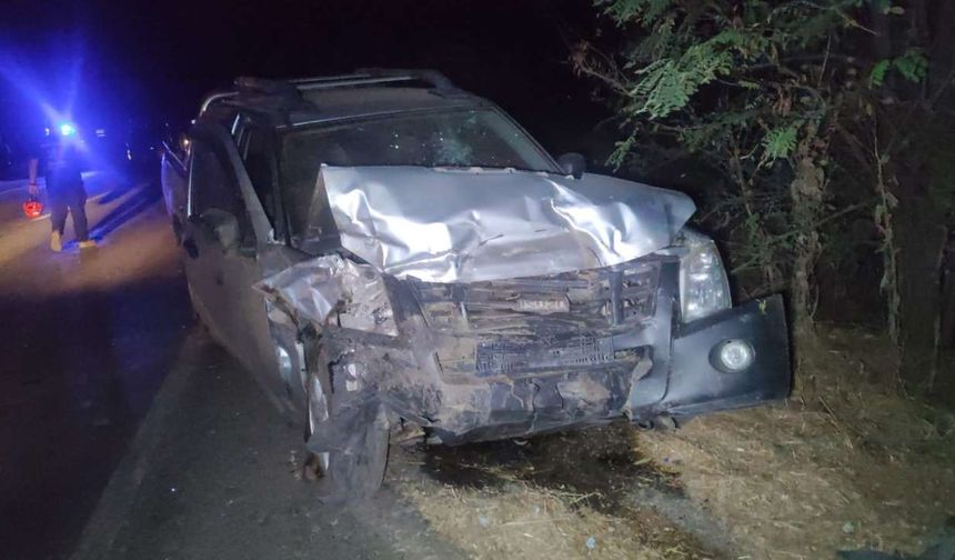 İzmir'de feci kaza: Yeni doğum yapan anne hayatını kaybetti