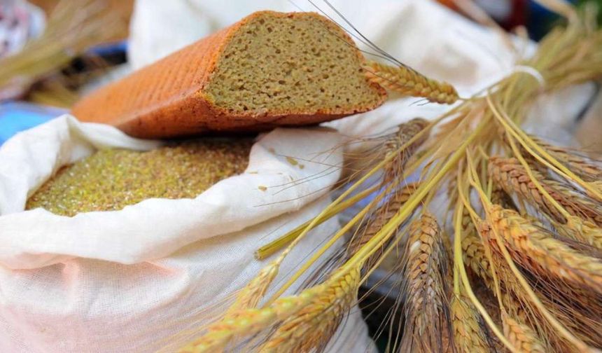 Seferihisar'da Ata Ekmeği ve Armola Şenliği zamanı