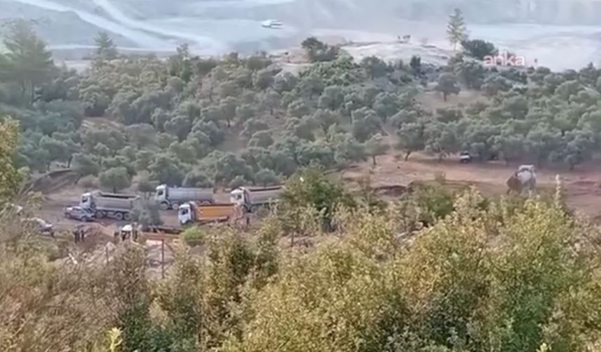 Akbelen Ormanı'nda yine ağaç sökümü başladı: Köylülerden yardım çağrısı