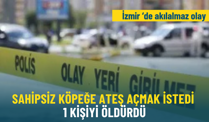 İzmir'de sahipsiz köpeğe ateş açmak istedi: 1 kişiyi canından etti