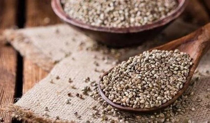 Doğanın gizli hazinesi: Kenevir tohumunun bilinmeyen faydaları