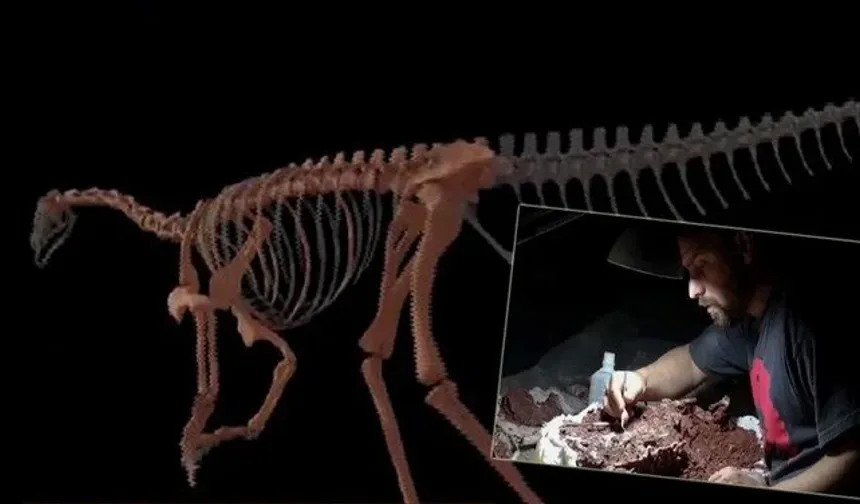 En eski dinozorun kemikleri bulundu: 230 milyon yıl önce yaşadı!