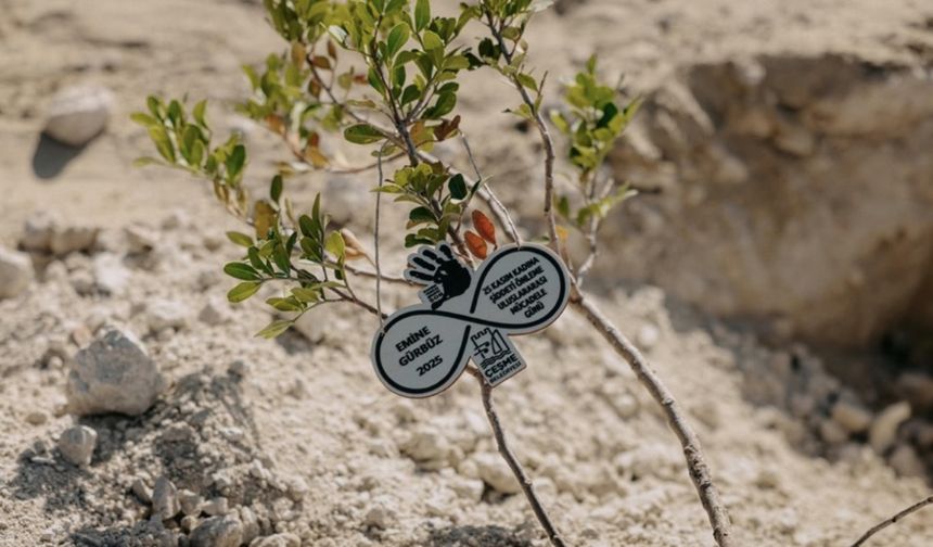 İzmir’de 411 fidan, binlerce adım, tek söz: İstanbul Sözleşmesi yaşatır