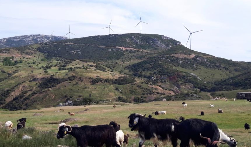 Karaburun’da bilirkişi hamlesi: Bakanlık ve şirket değişmesini istiyor!