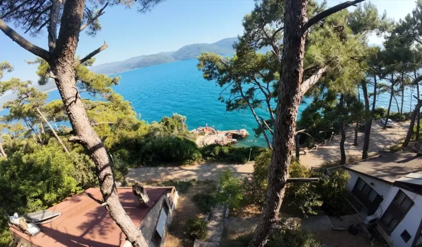 Akyaka Orman Kampı’na imar tehdidi: Valilik ihaleye çıktı!