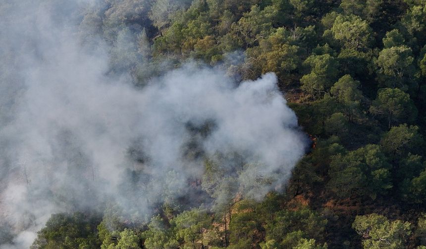 Seydikemer'de orman yangını: 1 hektarlık orman zarar gördü