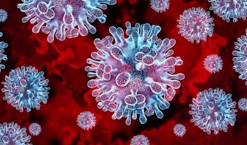 Yeni salgın ürkütüyor: H3N2 virüsü mutasyona uğradı!