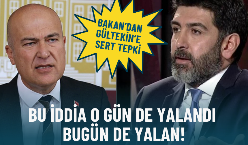 Muğla'da karaya vuran yavru fok İzmir'e sevk edildi