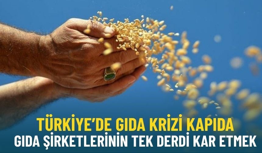 Türkiye’de gıda krizi kapıda: Gıda şirketlerinin tek derdi kar etmek