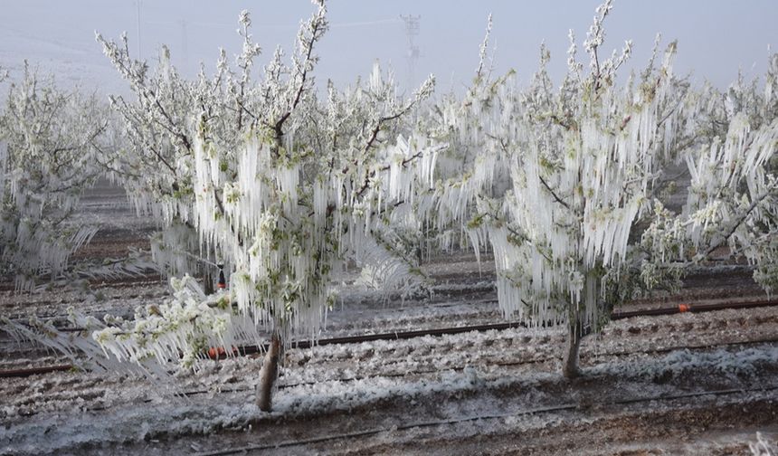 Türkiye’nin 2025 İklim Karnesi kırıklarla dolu!