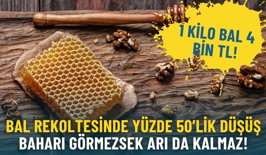 Bal rekoltesinde yüzde 50’lik düşüş: Baharı görmezsek arı da kalmaz!