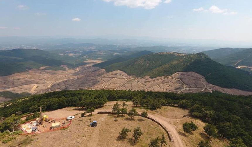 Kazdağları’nda talan üstüne talan!