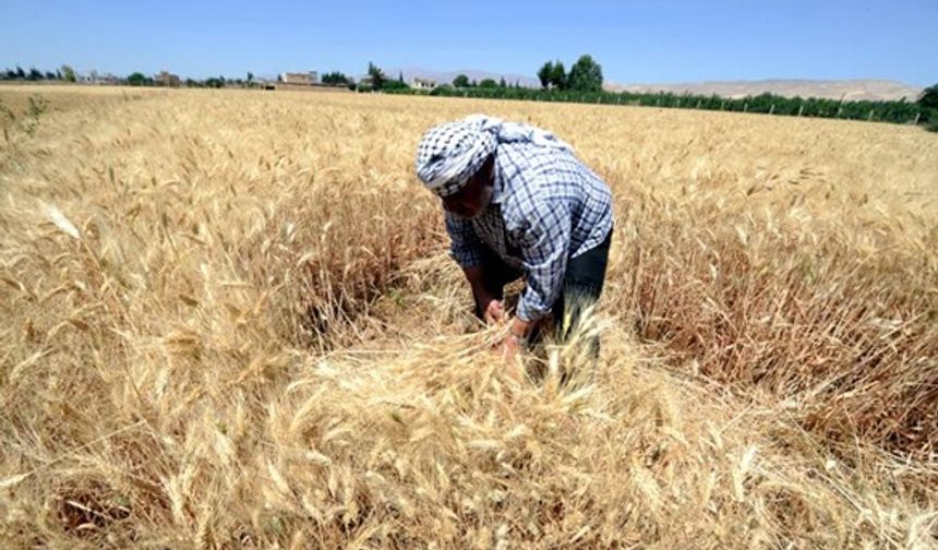 TZOB Başkanı Bayraktar acı tabloyu anlattı: 2025 çiftçilerin felaket yılı oldu!