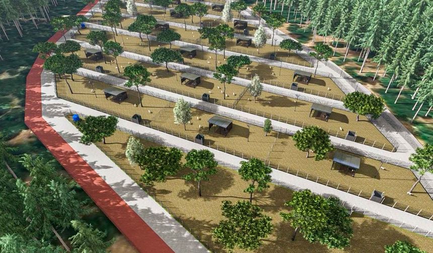 Kemalpaşa’da sokak hayvanları için büyük dönüşüm