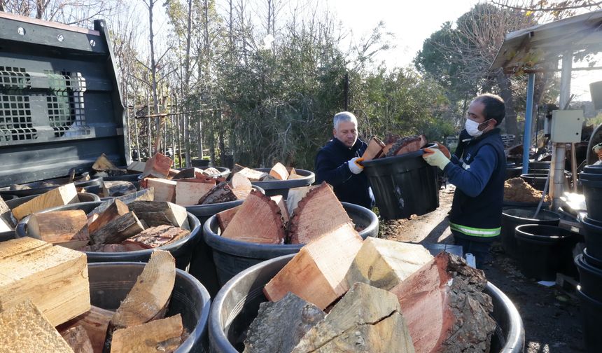 Konak'ta kış dayanışması: 250 aileye yakacak odun!