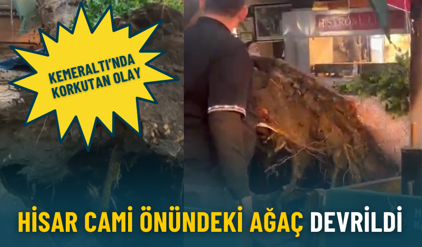 Kemeraltı’nda korkutan olay: Hisar Cami önündeki ağaç devrildi