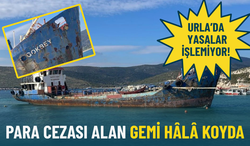 Urla’da para cezası alan gemi hâlâ koyda: Yasalar işlemiyor