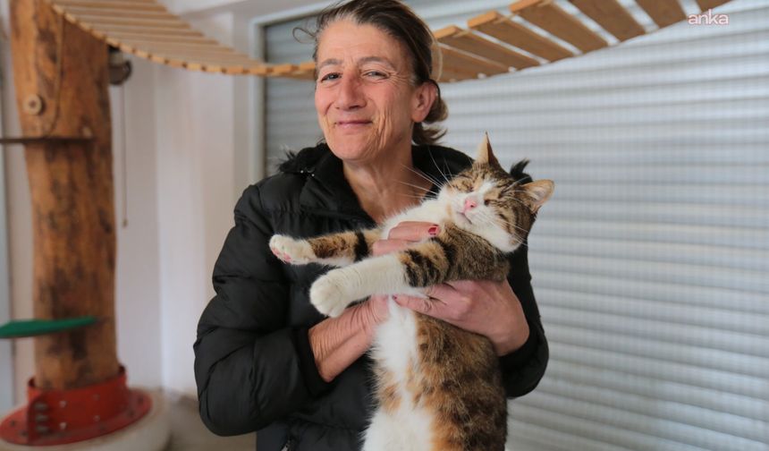Dünya Kediler Günü’nde, Konak Belediyesi'nden Engelli Kedi Evi'ne ziyaret
