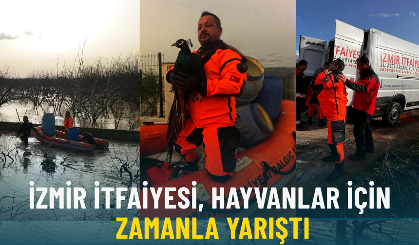 İzmir İtfaiyesi, hayvanlar için zamanla yarıştı