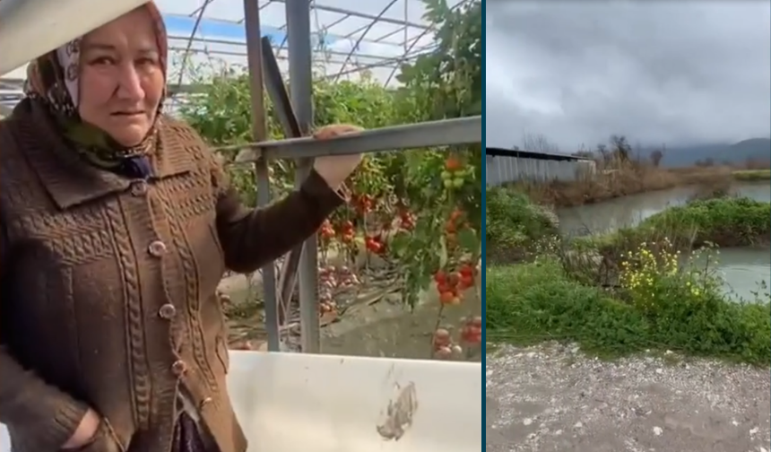 Muğla'da sel seraları vurdu ürünler heba oldu: Biz halimizi kime yanacağız?