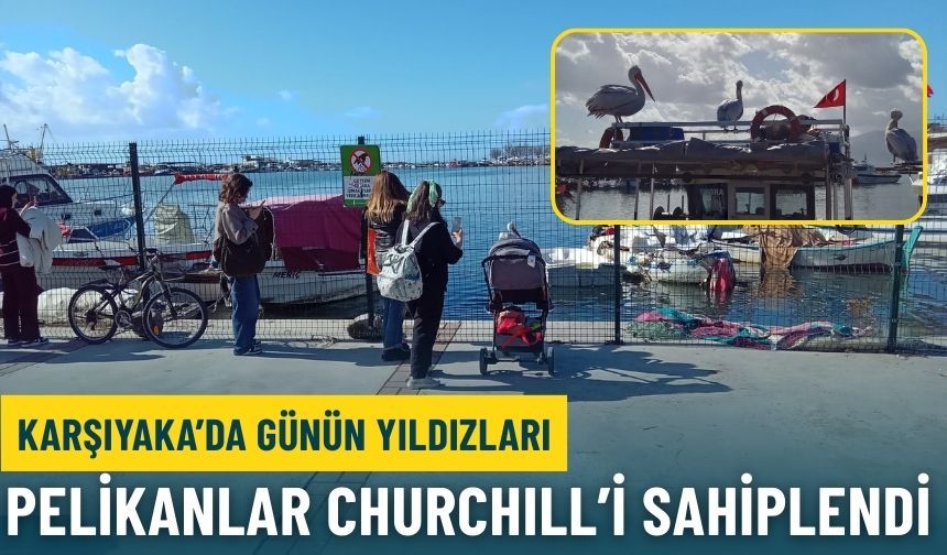 Karşıyaka’da günün yıldızları: Dev pelikanlar Churchıll’i sahiplendi