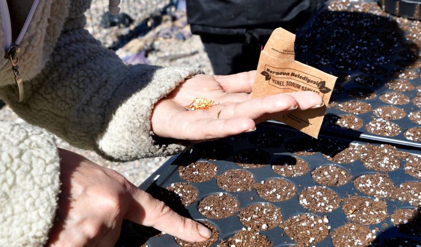 Bornova’nın kent bostanlarında yaz sezonu hazırlıkları başladı
