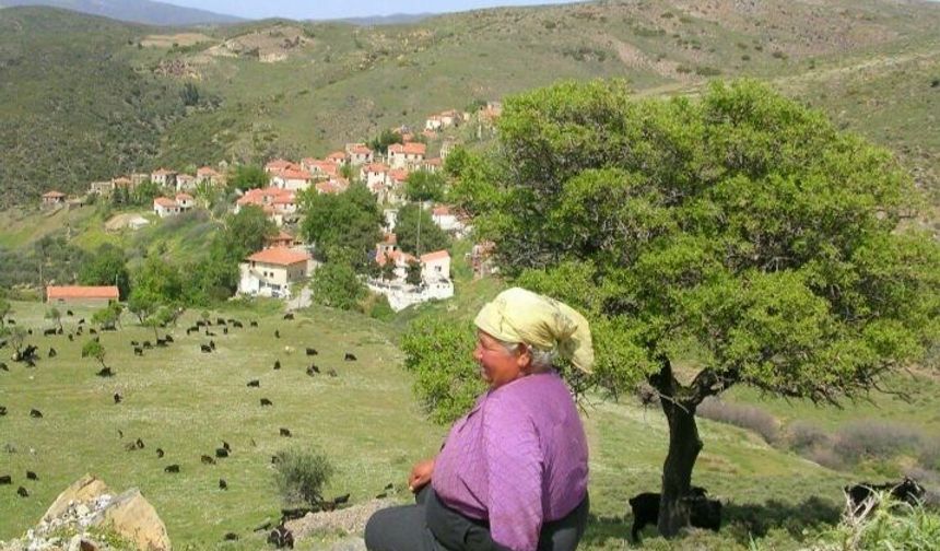 Karaburun’daki tartışmalı projeye yargı freni: ÇED olumlu kararı iptal edildi