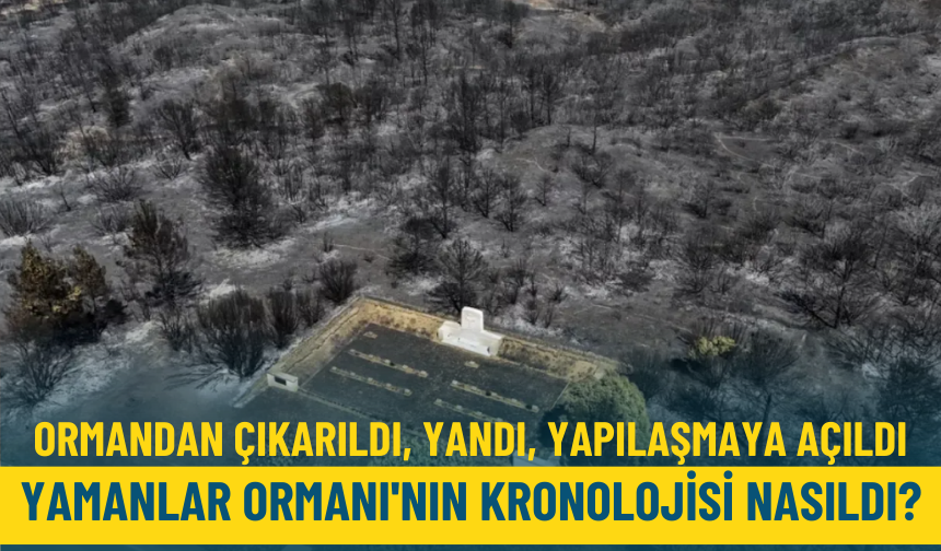 Ormandan çıkarıldı, yandı, yapılaşmaya açıldı: Yamanlar Ormanı'nın kronolojisi nasıldı?