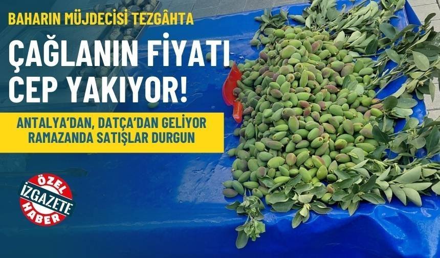 Kazdağları ve Madra için miting düzenlendi: Doğa talanına hayır!