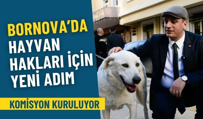 Bornova’da hayvan hakları için yeni adım: Komisyon kuruluyor