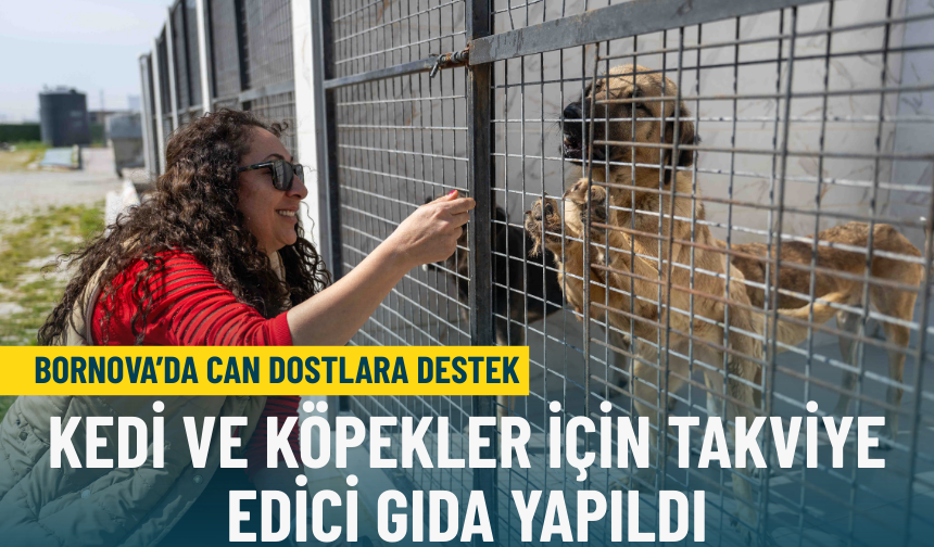 Bornova’da can dostlara destek: Kedi ve köpekler için takviye edici gıda yapıldı