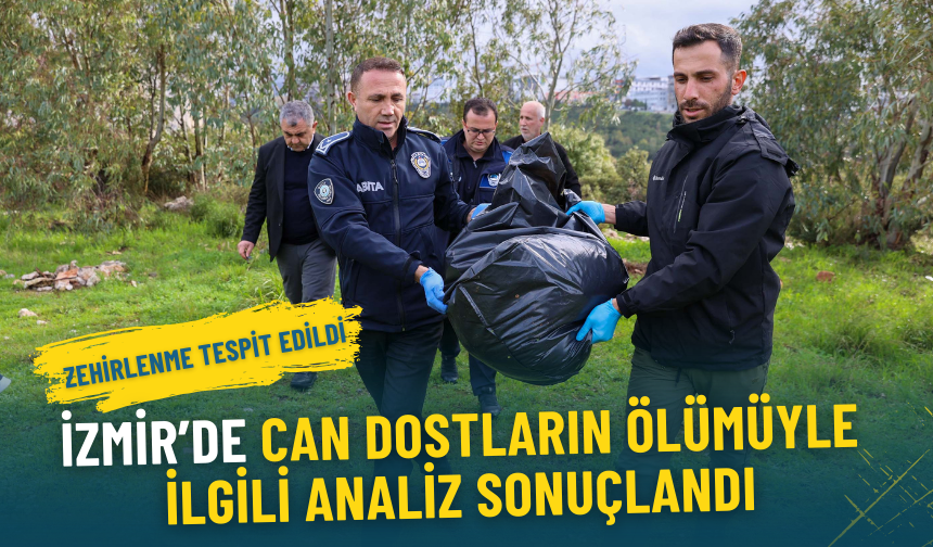 İzmir’de 8 hayvanın ölümüyle ilgili analiz sonuçlandı: Zehirlenme tespit edildi, savcılık süreci başladı