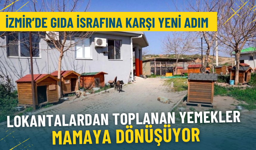 İzmir’de gıda israfına karşı yeni adım: Lokantalardan toplanan yemekler mamaya dönüşüyor
