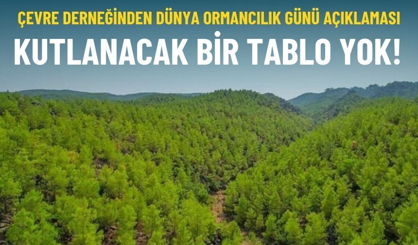 Çevre derneğinden Dünya Ormancılık Günü açıklaması: Kutlanacak bir tablo yok!