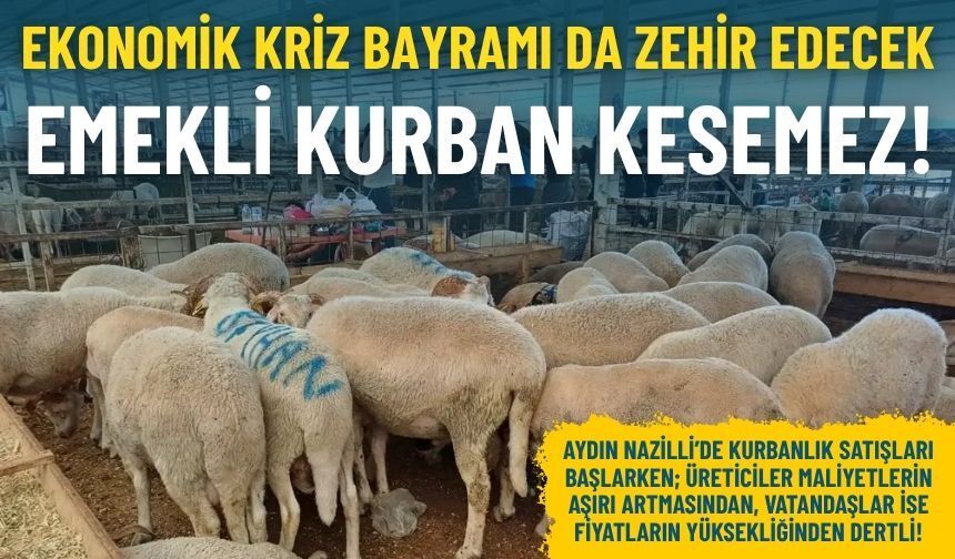 Nazilli kurban pazarını kriz vurdu: Emekli, ek geliri yoksa kesemez!