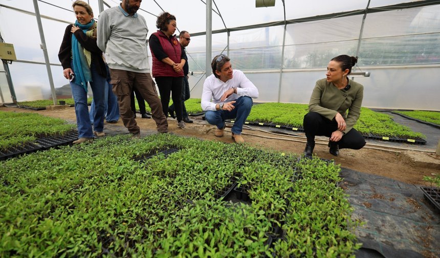 CHP’li Solakoğlu'ndan Selçuk’ta yerinde inceleme: Tarımda köy enstitüsü modelini yeniden kuracağız