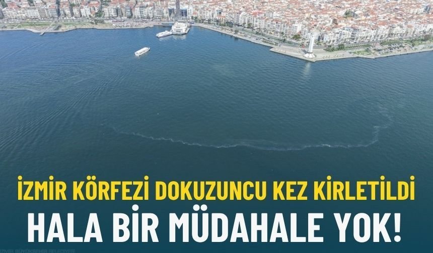 İzmir Körfezi dokuzuncu kez kirletildi: Hala bir müdahale yok!
