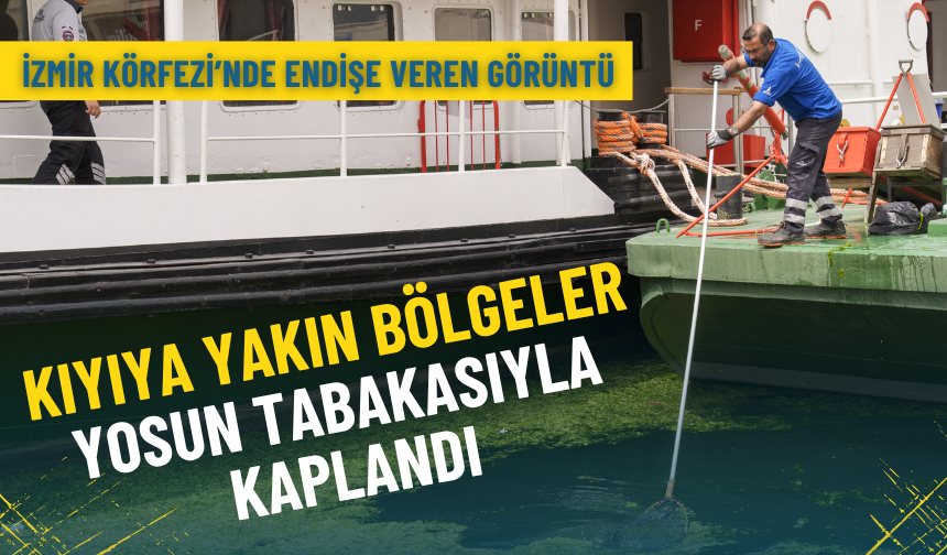 İzmir Körfezi’nde endişe veren görüntü: Kıyıya yakın bölgeler yosun tabakasıyla kaplandı