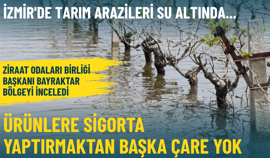 İzmir'de tarım arazileri su altında... Ziraat Odaları Birliği Başkanı: Ürünlere sigorta yaptırmaktan başka çare yok