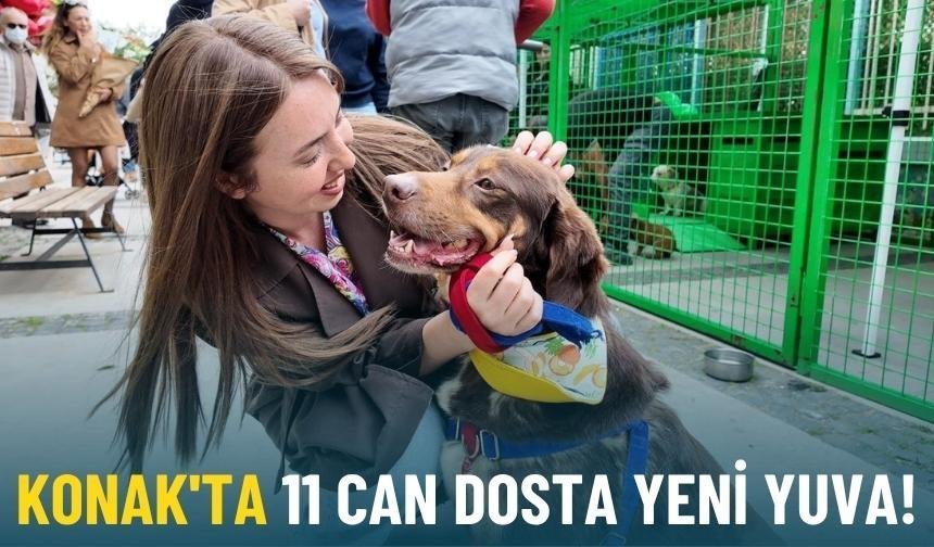 Konak'ta 11 can dosta yeni yuva!