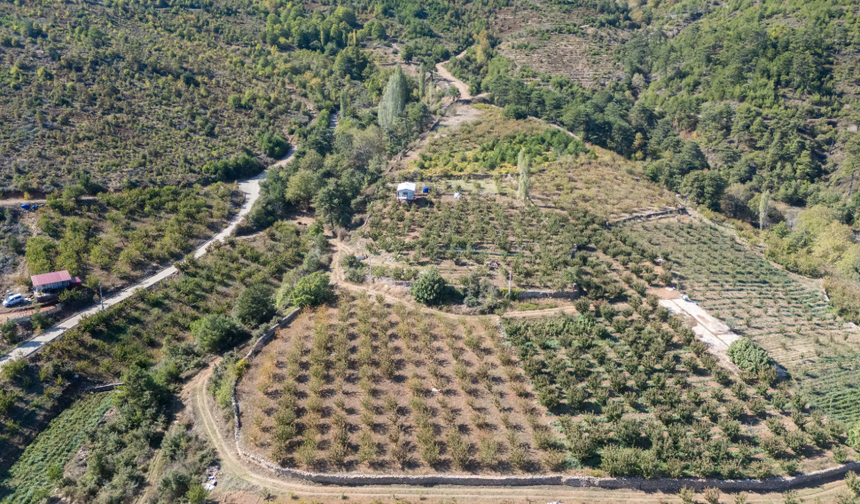 Kemalpaşa Belediyesi’nden arsa satış kararı: 25 taşınmaz vitrinde