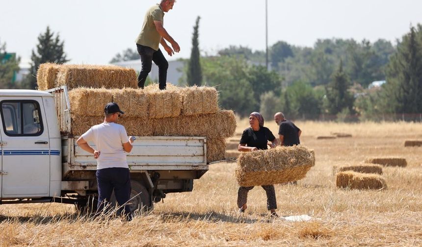 Buca'dan örnek dayanışma... Üreticilere saman dağıtıldı