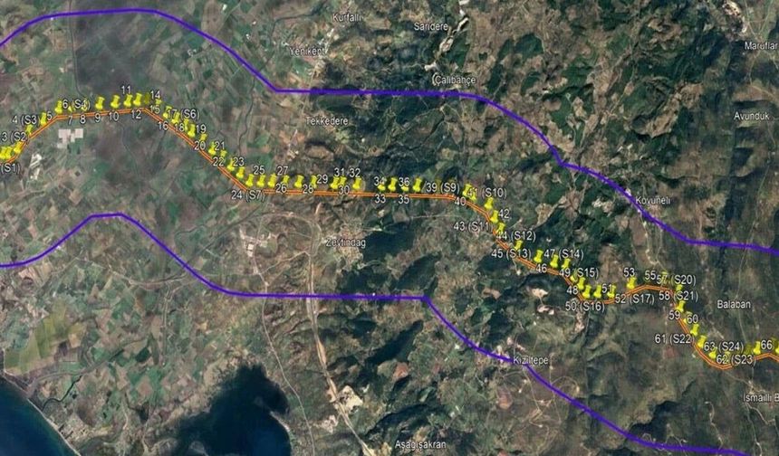 Dikili ve Bergama’da doğa katliamı: TEİAŞ’ın projesi için 27 bin ağaç kesilecek!