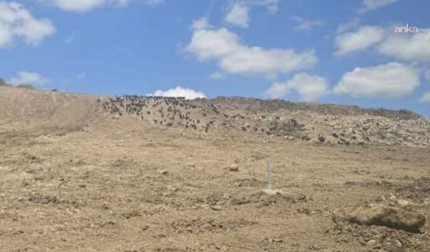 Uşak'ta GES projesine bilirkişi engeli: ‘ÇED Olumlu’ kararı uygun bulunmadı!