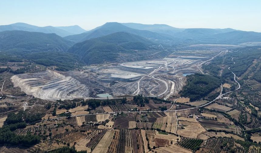Greenpeace Türkiye’den ‘termik santral’ çağrısı: Kömürden çıkış için takvim açıklansın!