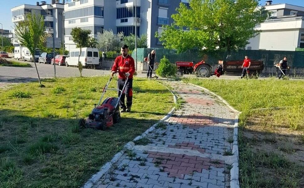 Menderes Belediyesi'nden ot biçme çalışmaları